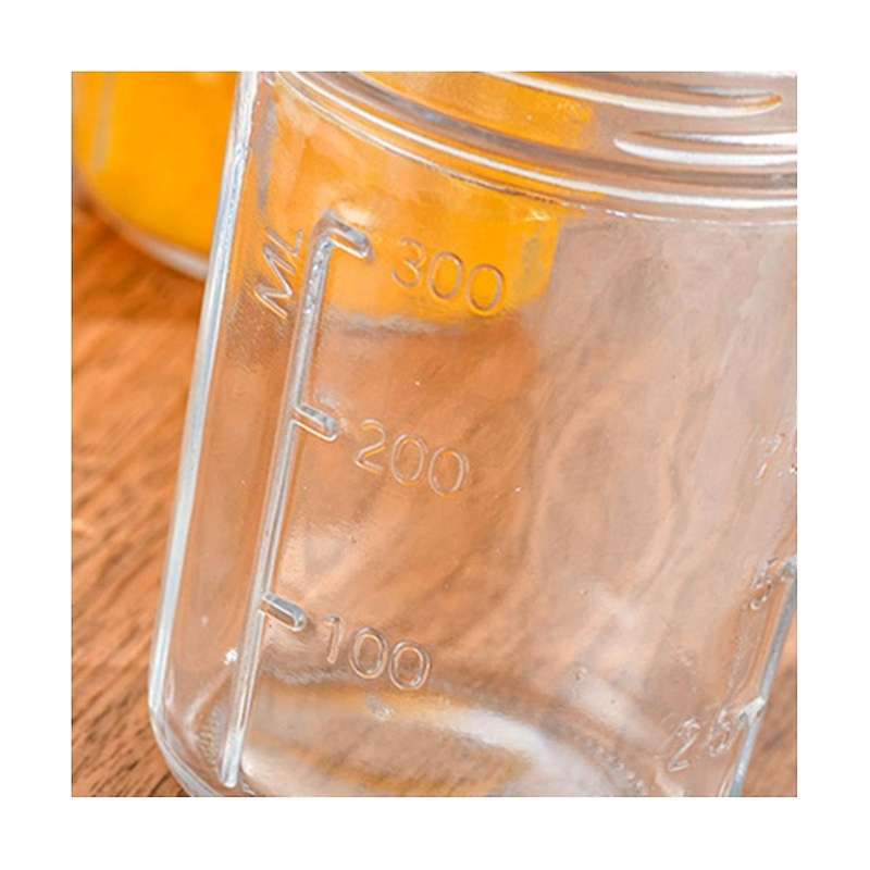 4pcs Overnight Oats Containers with Lids and Spoons Glass Masonjars for Overnight Oats Leak Proof Oa