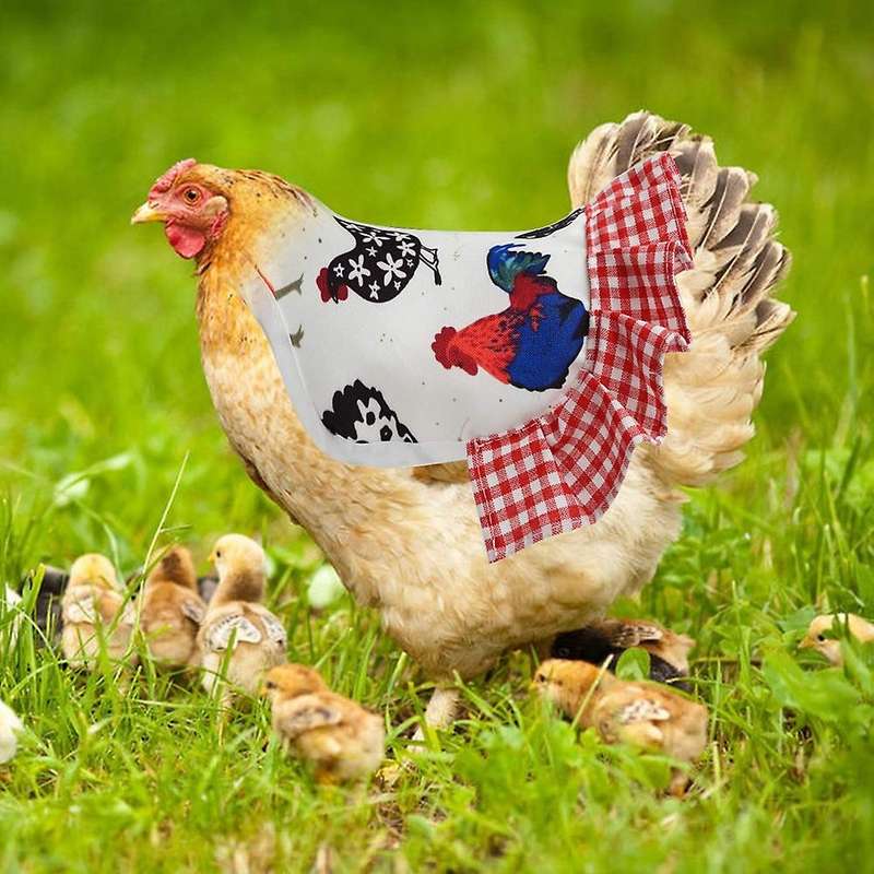 4pcs Standard Chicken Saddle,chicken Jacket Straps,hen Apron Feather Fixer with Elastic Strap,wing