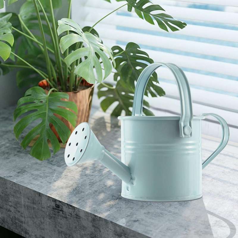 4pcs Watering Can with Nozzle and Handle for Children Indoor Plants Watering Bucket for Garden Indo
