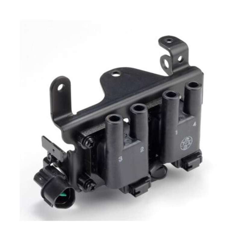 for Tb 1.1 2002-2009 Ignition Coil 27301-02100