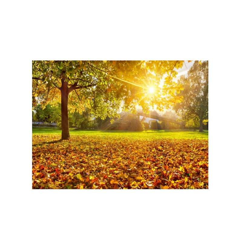 Forest Tapestry Sun Rays Through Trees Countryside Scenic Wall Hanging for Bedroom Living Room Dorm