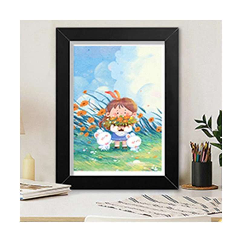 Front Opening and Interchangeable Picture Displays for Arts, Crafts, Paintings, Hanging Pictures (b