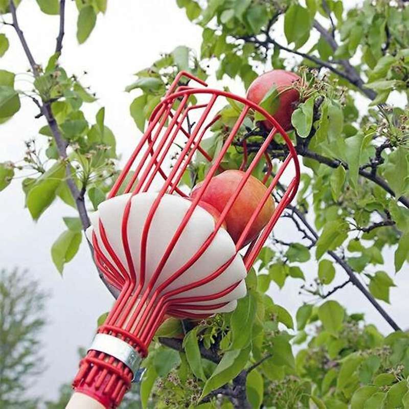 Fruit Picker,Fruit Picker Tool Basket, Fruit Easy to Assemble,Fruit Picking Equipment for Fruits App