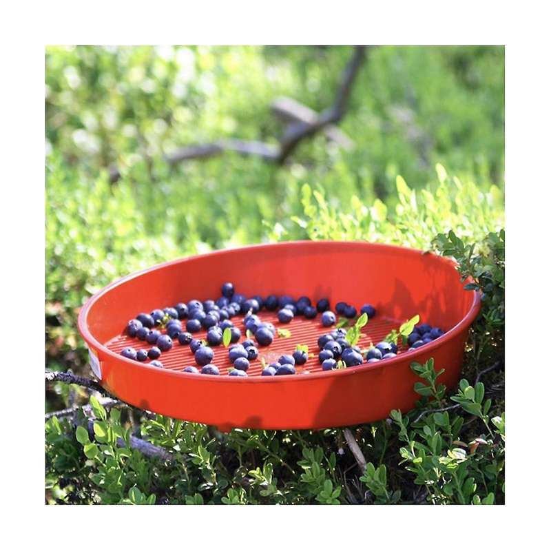 Fruit Washers Cleaning Trays Garden Tools Blueberry Washers Tools Tray