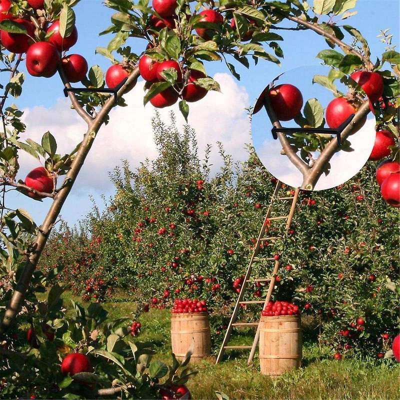 Fruit Tree Branch Stretcher, for Stretch Crotch Branches, Fruit Tree Branch Puller, Plant Stem Train