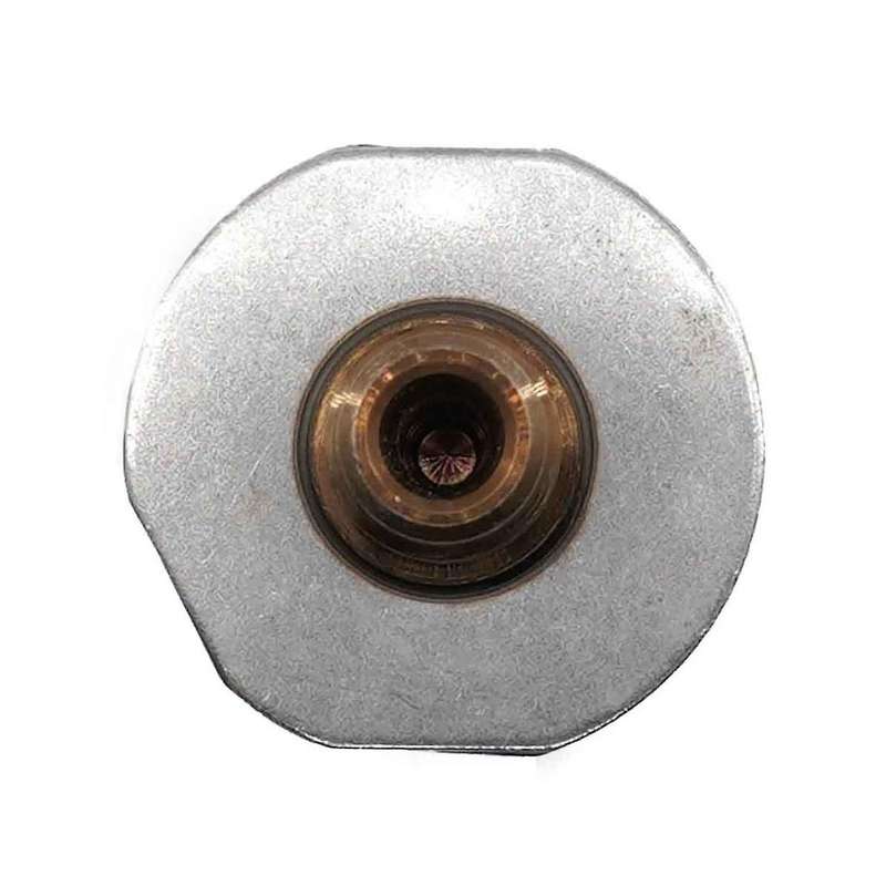 Fuel Rail Pressure Sensor for SENSATA CNG 2002-2006 55PP31-01 10R-000096 55PP3101