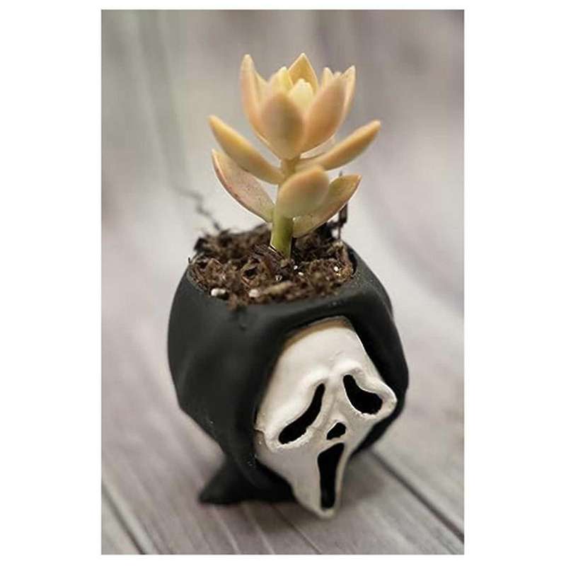 Fun Scary Halloween Succulents Potted Plants, 1pc Small People Cute Succulent Plant Pots for Home De