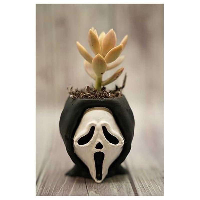 Fun Scary Halloween Succulents Potted Plants, 1pc Small People Cute Succulent Plant Pots for Home De