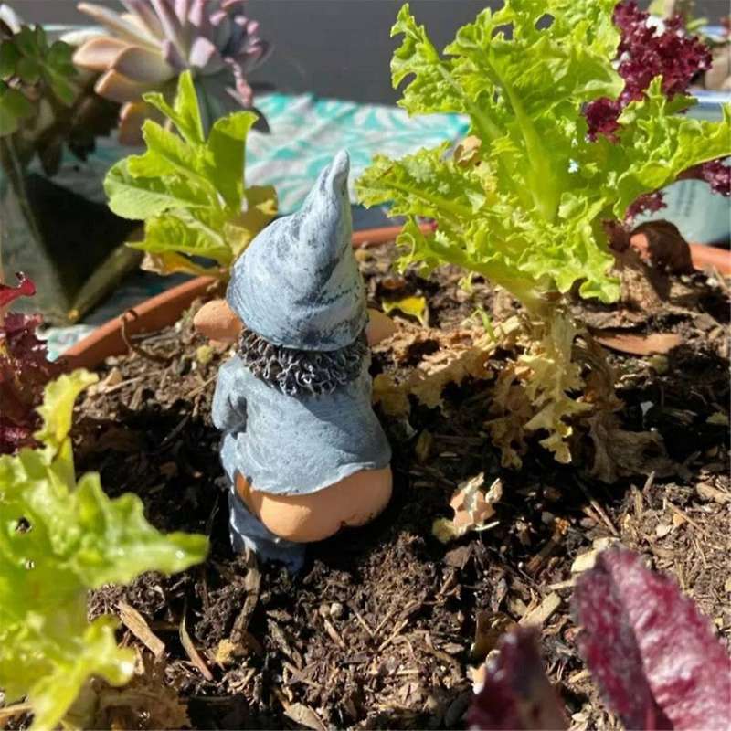 Garden Ornaments, Garden Gnomes, Stinky Gnomes, Resin Craft Gnomes