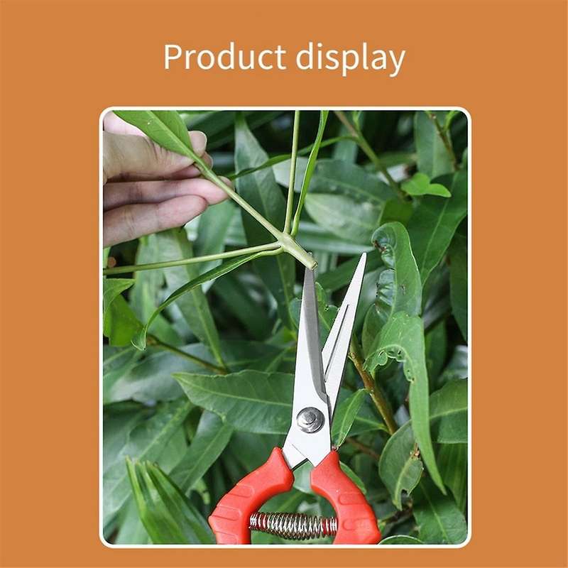 Garden Pruning Shears Potted Branches Scissors Fruit Picking Small Scissors Household Hand Tools