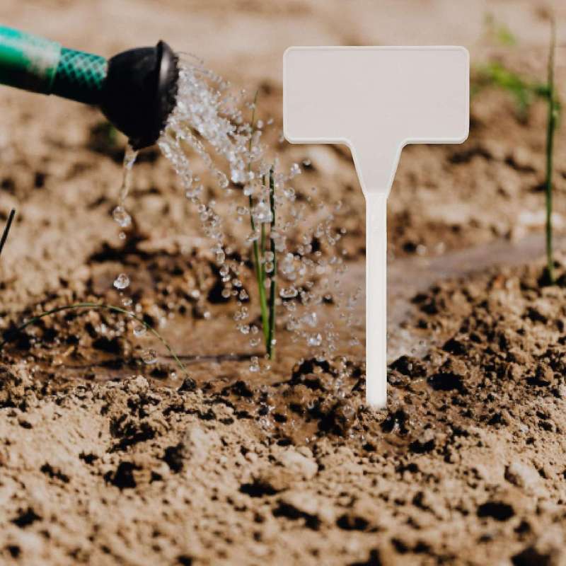Gardens Planting Tools 50 Pcs Bonsai Plastic Labels Garden White
