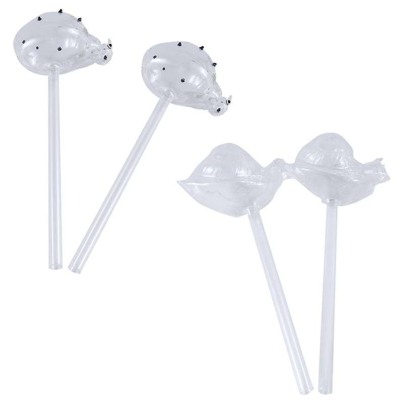 Glass Plant Flowers Water Feeder Self Watering Automatic Drip Irrigation Devices