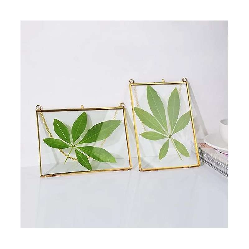 Golden Glass Brass Wall Hanging Picture Frame Artwork Display Frame, Double Glass Floating Frame Sty