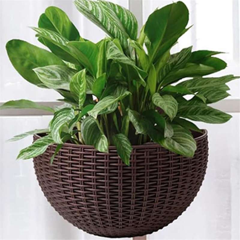 Gray Large European-Style Imitation Rattan Wall-Mounted Semi-Circular Flowerpot Lazy Flowerpot
