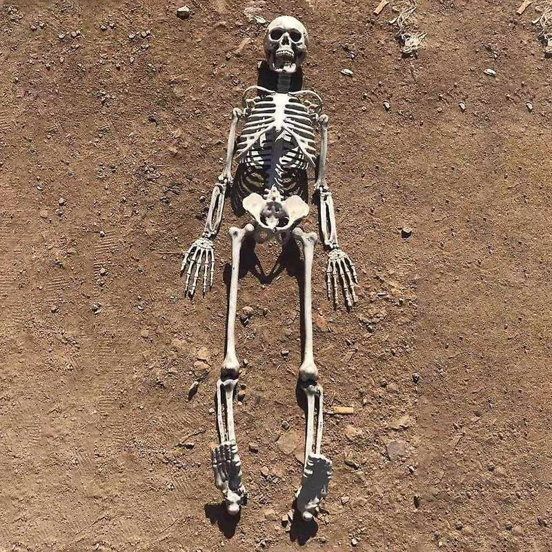 Halloween Party Bar Haunted House Props Durable Simulation Humans Skeleton Ornament Interesting Orna