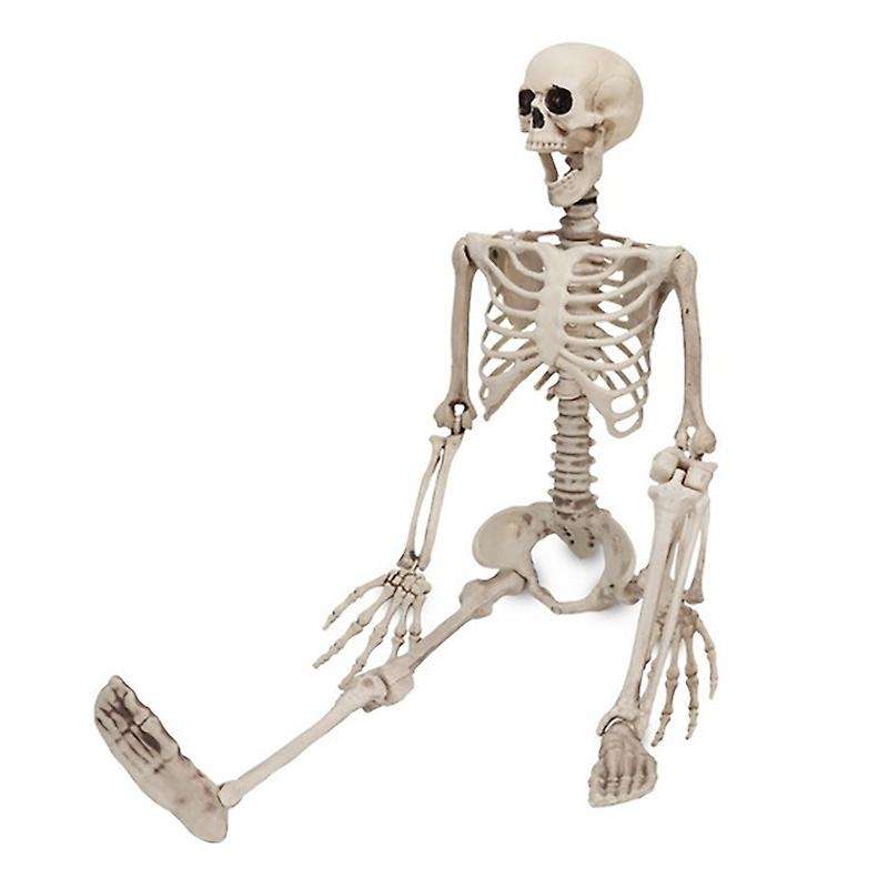 Halloween Party Bar Haunted House Props Durable Simulation Humans Skeleton Ornament Interesting Orna