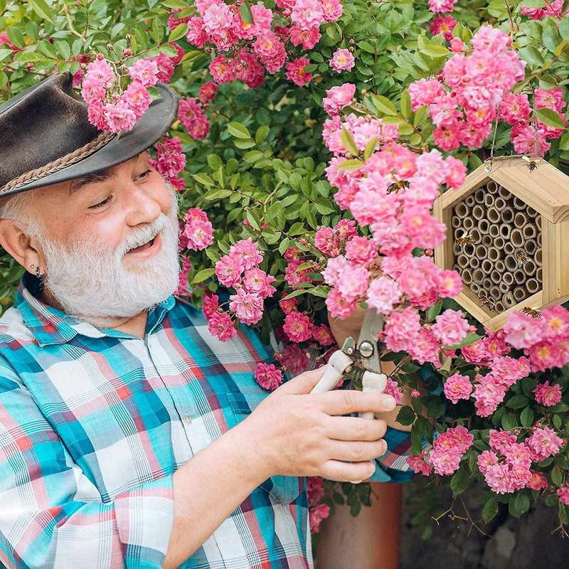 Handmade Natural Bamboo Bee Hive Mason Bee House Attracts Peaceful Bee Pollinators for the Garden