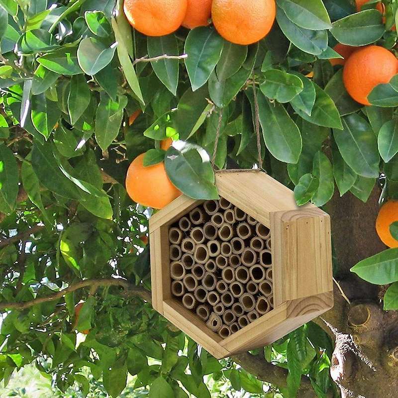 Handmade Natural Bamboo Bee Hive Mason Bee House Attracts Peaceful Bee Pollinators for the Garden