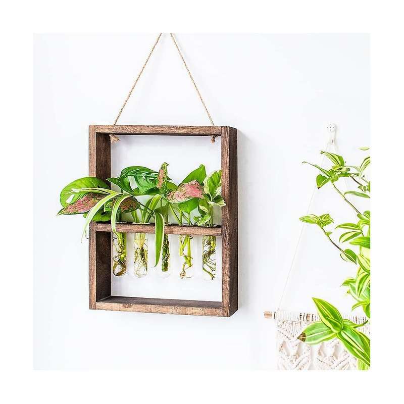 Hanging Plants Test Tube Flower Bud Glass Terrarium Wooden Frame Garden Wedding Decoration