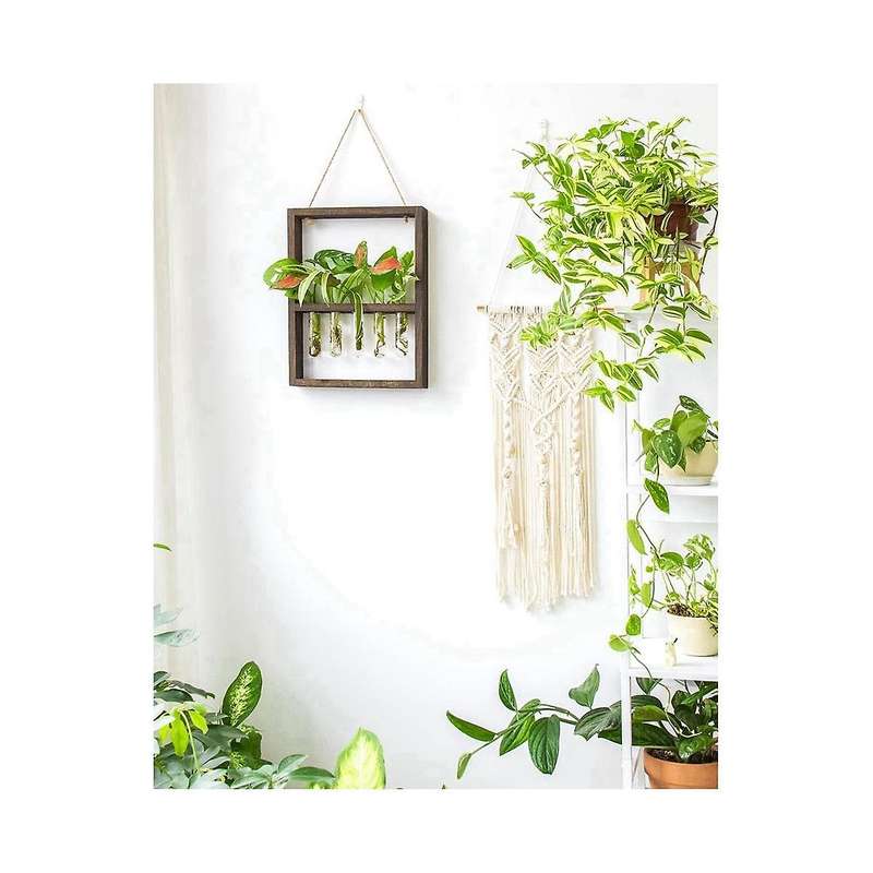 Hanging Plants Test Tube Flower Bud Glass Terrarium Wooden Frame Garden Wedding Decoration