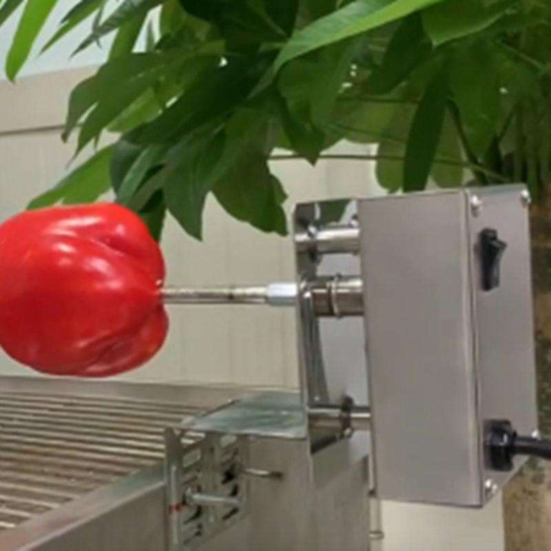 Heavy Meat Bbq Rotisserie Rotating Motor Eletric Barbecue Metal Rotisserie Motor Moteur Voltage Val