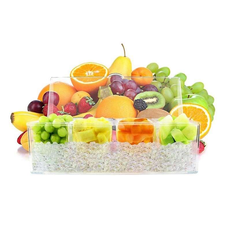 Ice Chilled Condiment with 4 Containers, Condiment Server with Separate Lids, Serving Tray Platter