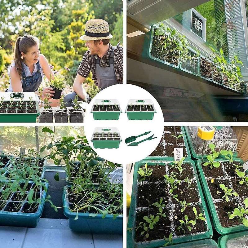Indoor Greenhouse Cultivation Kit Greenhouse Seedling Tray Small Potted Plants with Gardening Tools