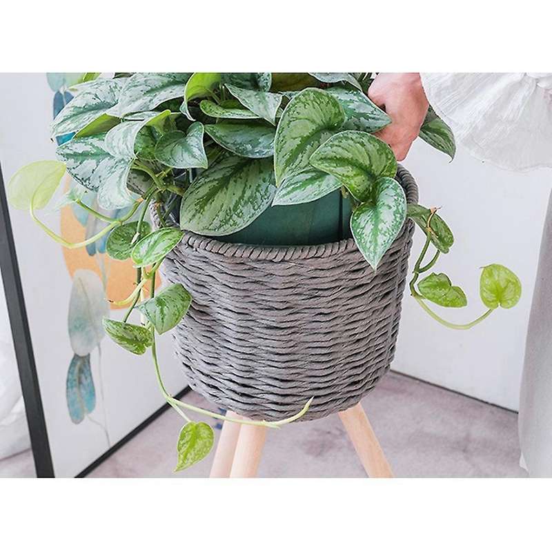Indoor Flower Stand Flower Stand Living Room Floor Type Simple Modern Balcony Net Red Flower Stand R