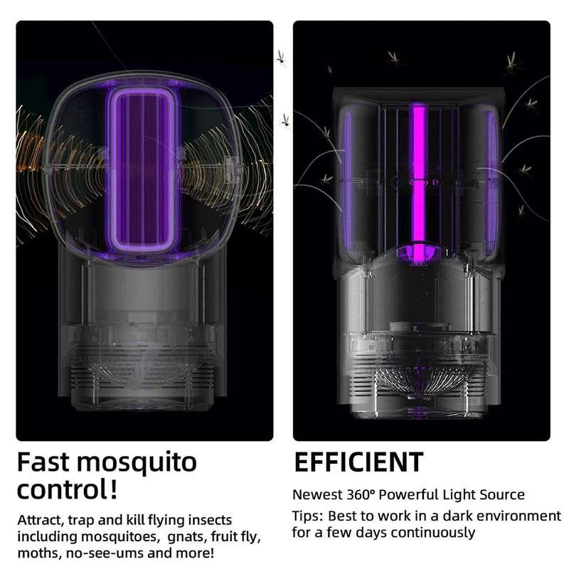 Indoor Insect Trap Mosquito Trap Fruit Fly Trap: Fruit Fly, Bug, Gnat,Insect -Sticky Glue Boards No