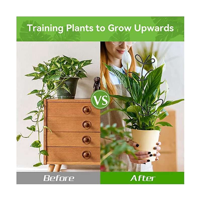 Indoor Plant Trellis,leaf Shape Garden Trellis for Climbing Plant, Small Metal Trellis for Potted P