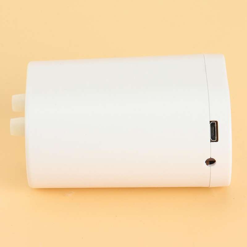 Intelligent Drip Water Pump Controller Automatic Watering Device Remote for Garden Plant Timer Irrig