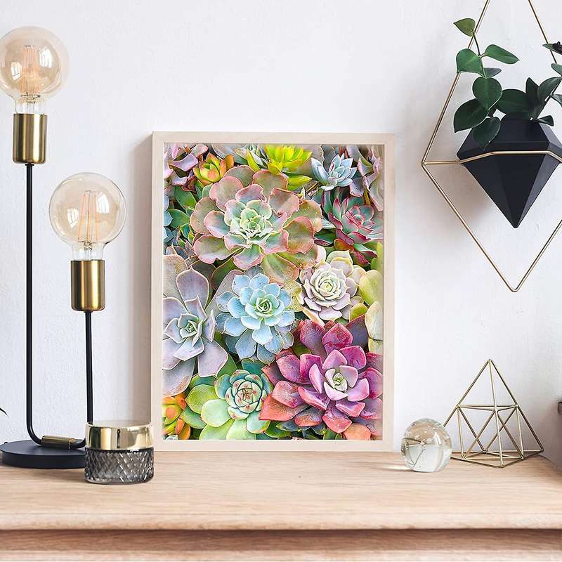 Kit Adult Children Diamond Gem Art Similar Bead Home Wall Decoration Gift -Succulent