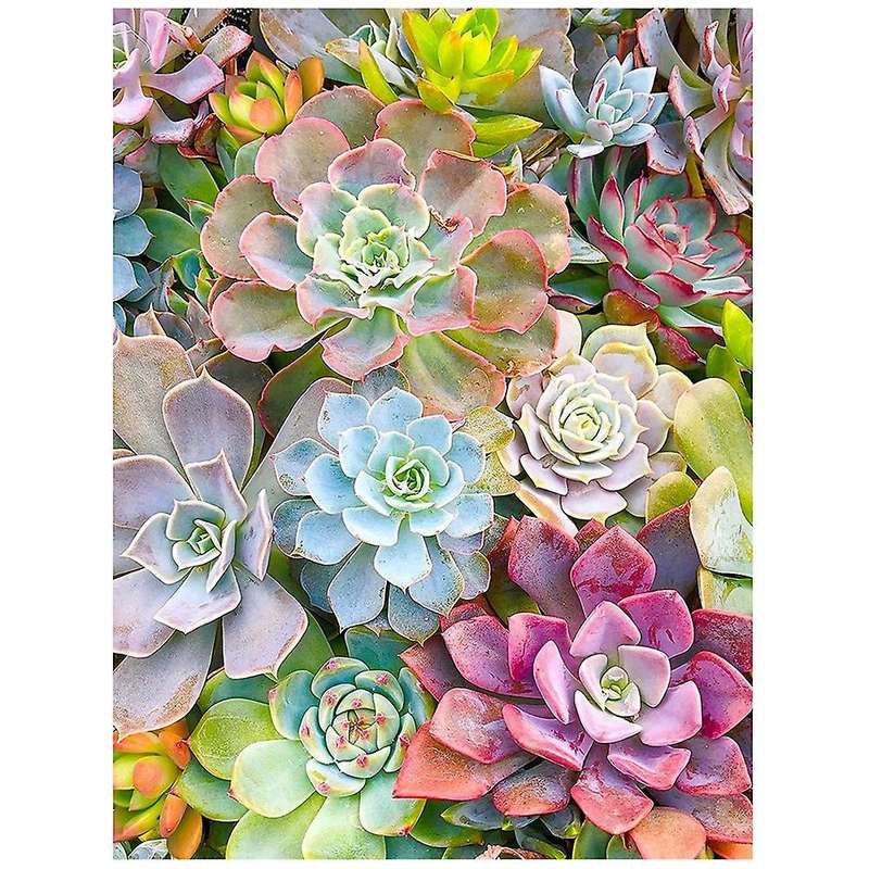 Kit Adult Children Diamond Gem Art Similar Bead Home Wall Decoration Gift -Succulent