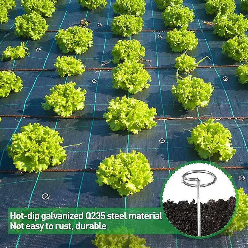 Landscape Staples 6in Rust-Resistant Galvanized Garden Staples Round Top Landscape Staples Ground Co