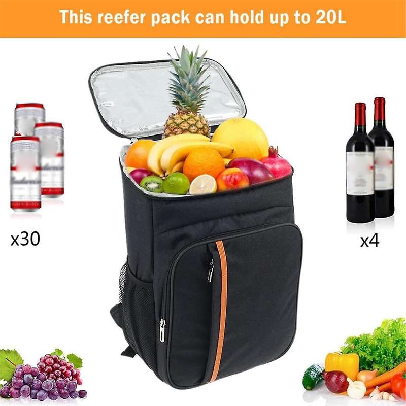 Large Capacity Backpack Freezer Leakproof Insulated Backpack Soft-Sided Bag Food Container for Trave