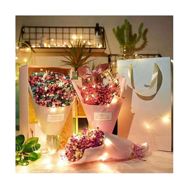 Led Button Light String Button Battery Box Fairy Lights Waterproof Mini Firefly with Flexible Silve