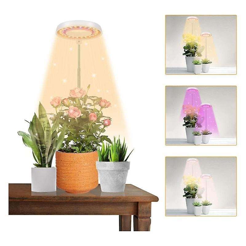 Led Grow Light,halo Plant Lamp for Indoor Plants Growing,auto Timer 4/8/12/18 Hrs, for Bonsai Succul
