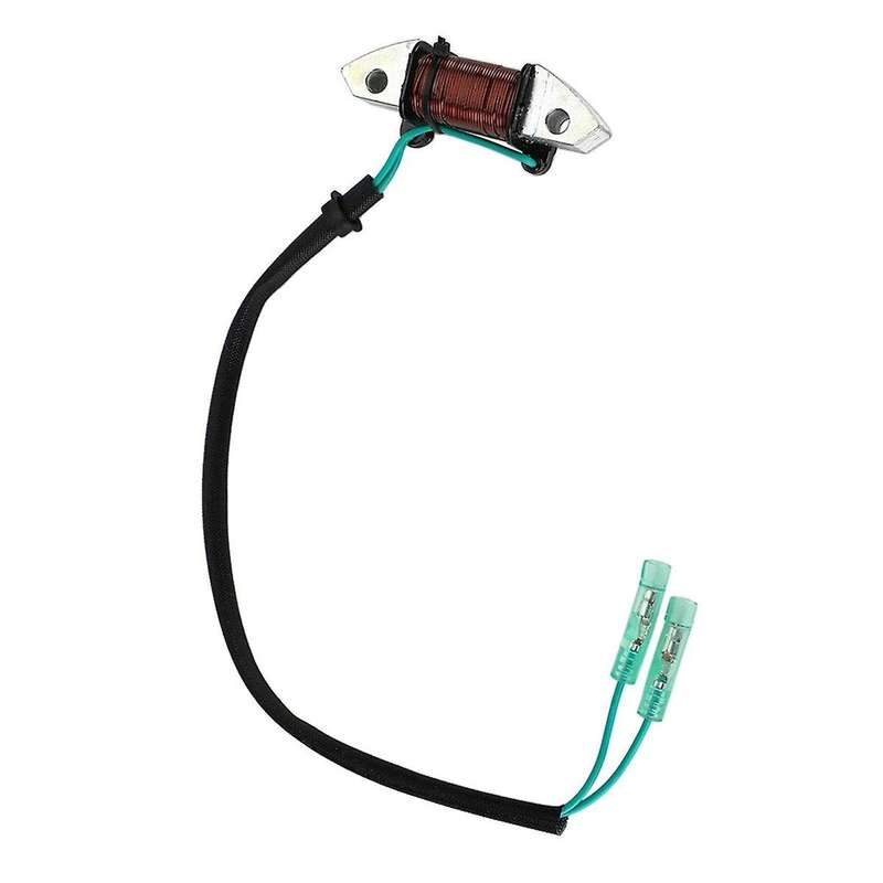 Lighting Coil Fit for C30 25-30Hp 2T Outboard 1993-2012 61N-81313-09-00 Boat Engine