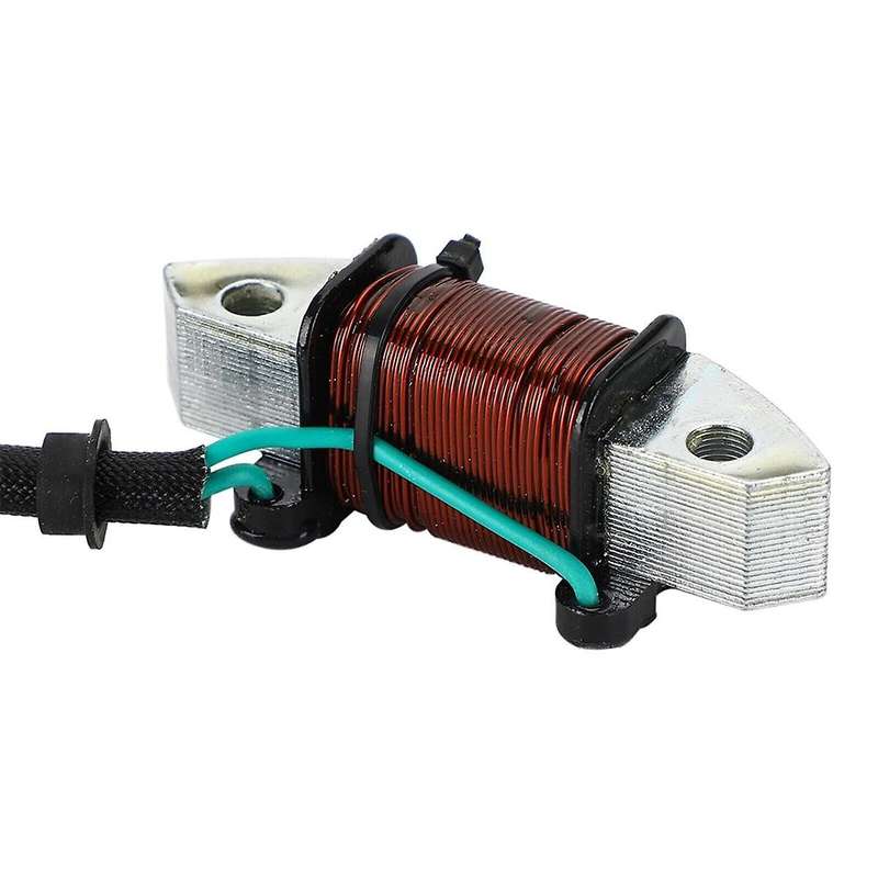 Lighting Coil Fit for C30 25-30Hp 2T Outboard 1993-2012 61N-81313-09-00 Boat Engine