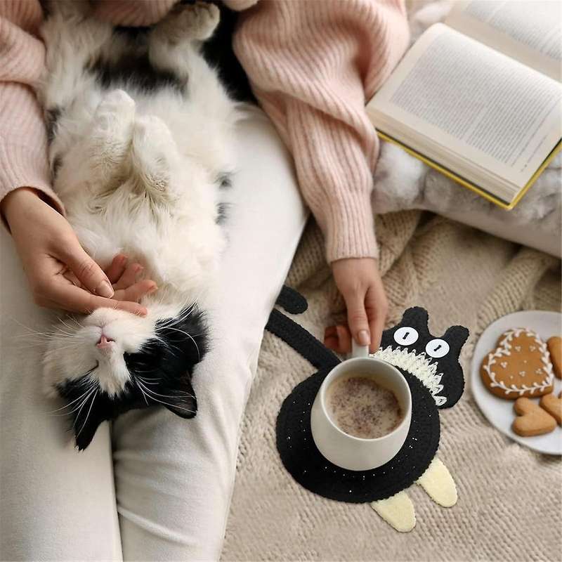 Lovers 3PCS Coaster Woven Cute Coaster Insulation Coaster Coffee and Tea Coaster