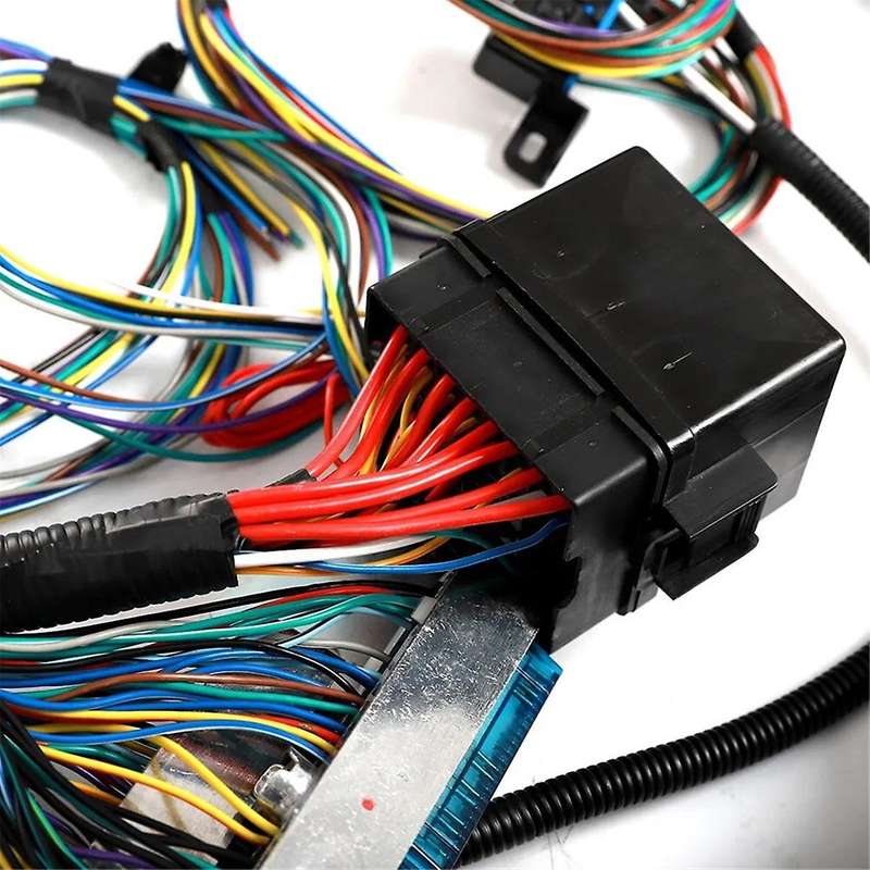 LS1 4L60E Stand Alone Harness for for Drive By Cable DBC LS1 Engines 4.8 5.3 6.0 1997-2006