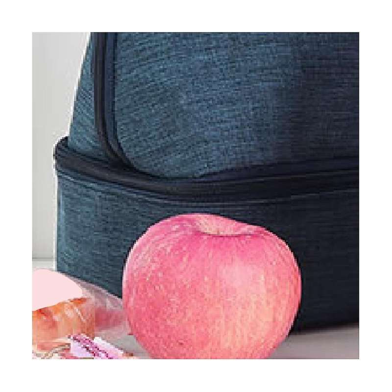 Lunch Bag Insulated Lunch Box Tote Bag for Work, Double Deck Leakproof Lunch Cooler Bags for Travel