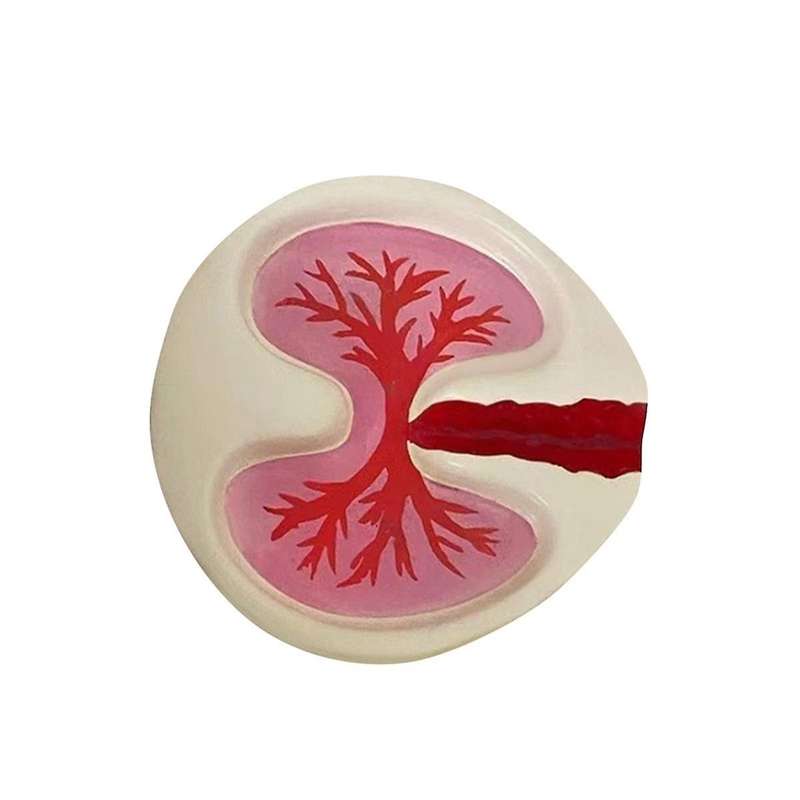 Lung Shape Ashtray Tray Red Funny Ashtray Desktop Home Decoration Handmake Ornaments Decor Birthday