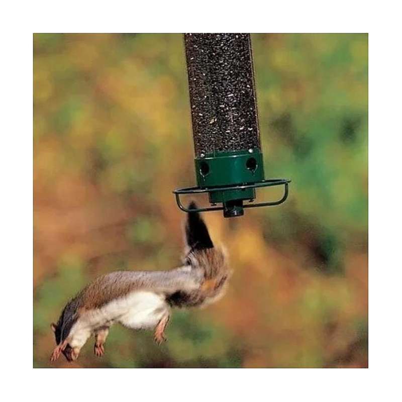-m Yankee Squirrel-proof Wild with Weight Activated Rotating Perch