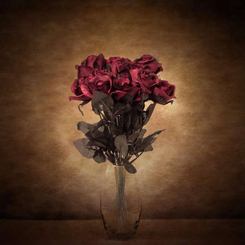 10 Pack Wine Red Artificial Silk Roses Flowers for Home Decorations