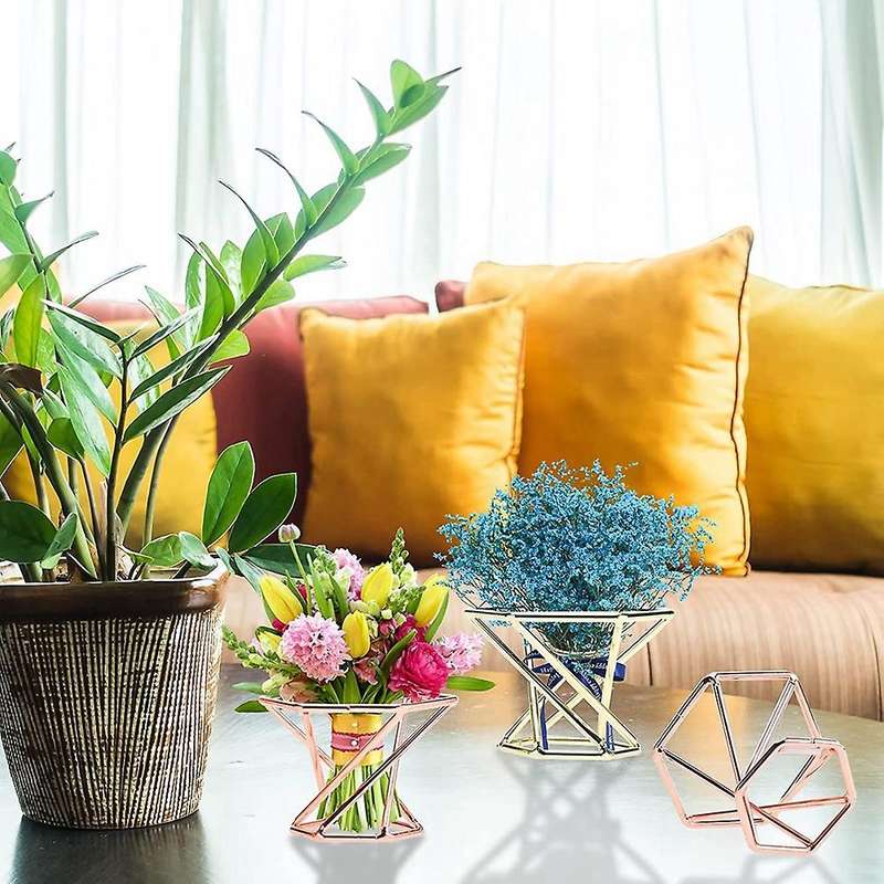 12pcs Mini Air Plant Stand Metal Geometric Air Plant Display Stand