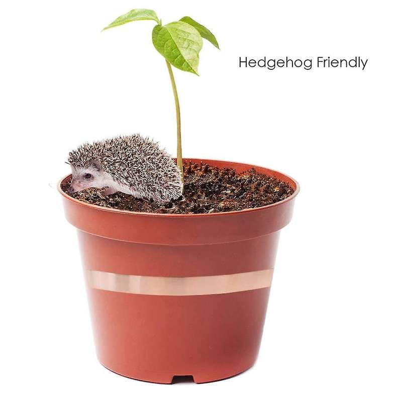 2pcs Copper Belt Is Friendly and Harmless to Hedgehogs,snails and Pet