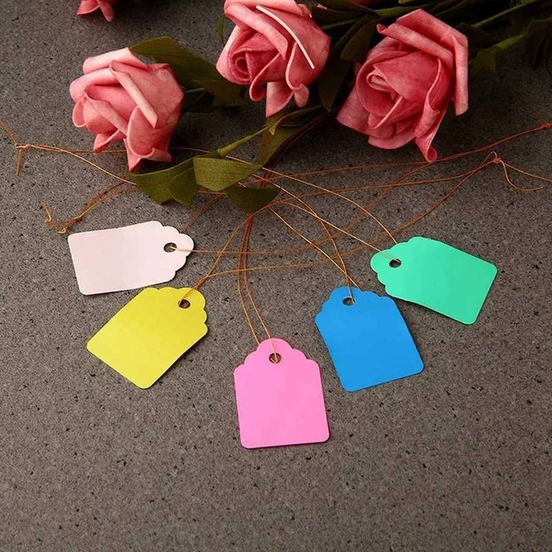 Tags with String Plastic Plant Labels for Gardening Jewelry Clothing
