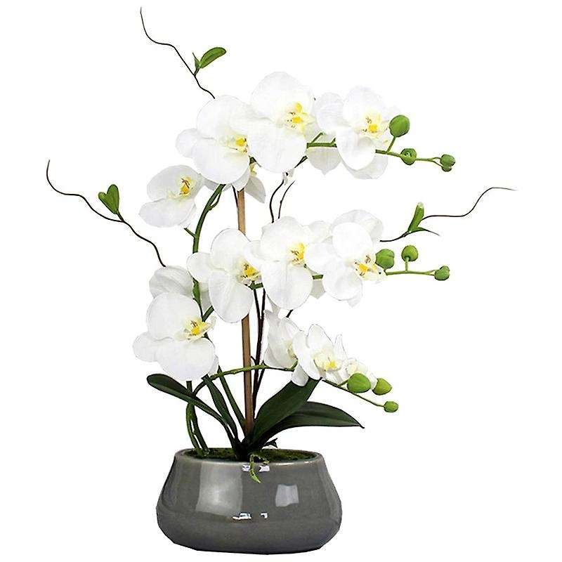 5 Pcs Artificial Green Orchid Leaf for Flowers Garden Decor