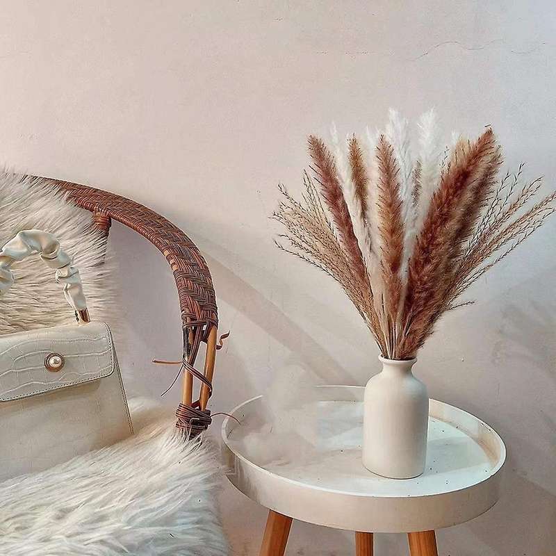 75pcs Dried Pampas Grass Decor, 17.5inch Dry Flowers